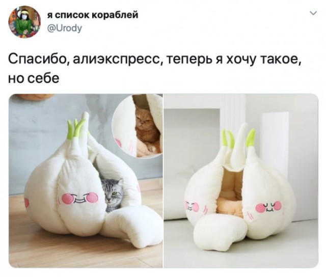 Немного картинок для настроения 18.05.20
