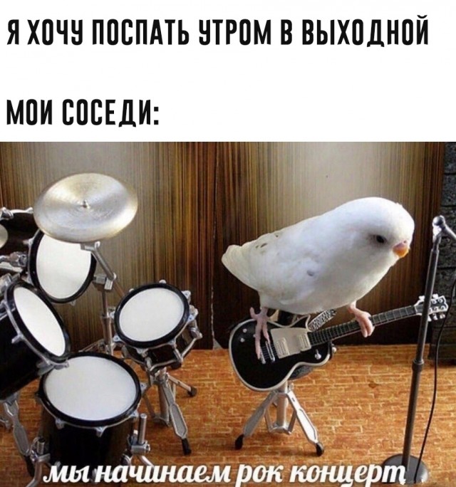 Так себе картинки 13.06.20