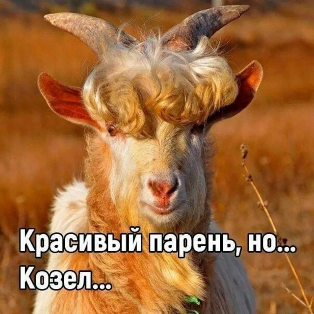 Мужчины сами культивируют в женщинах меркантильность?