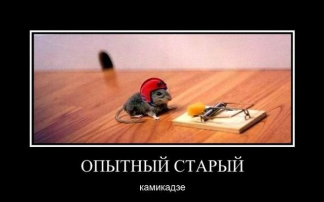 Прикольные и просто красивые картинки 04.08.2020