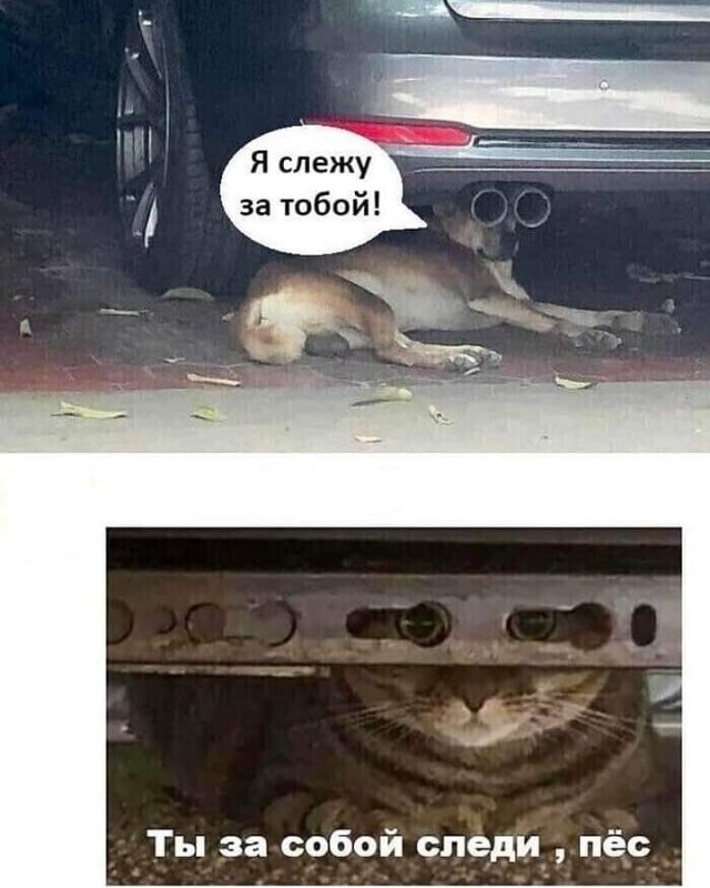 Немного картинок для настроения 117
