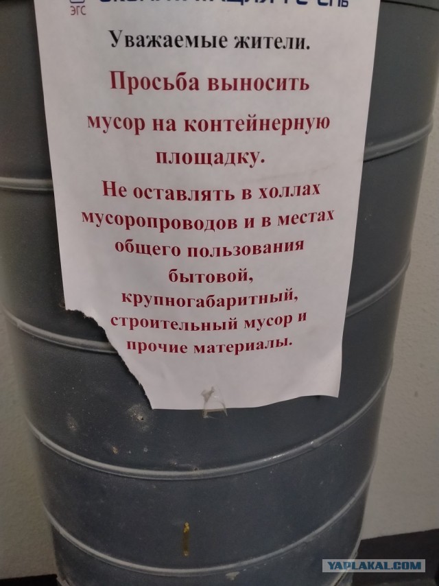 Временные соседи - новогодние свиньи