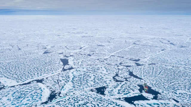 11 фактов о Северном полюсе