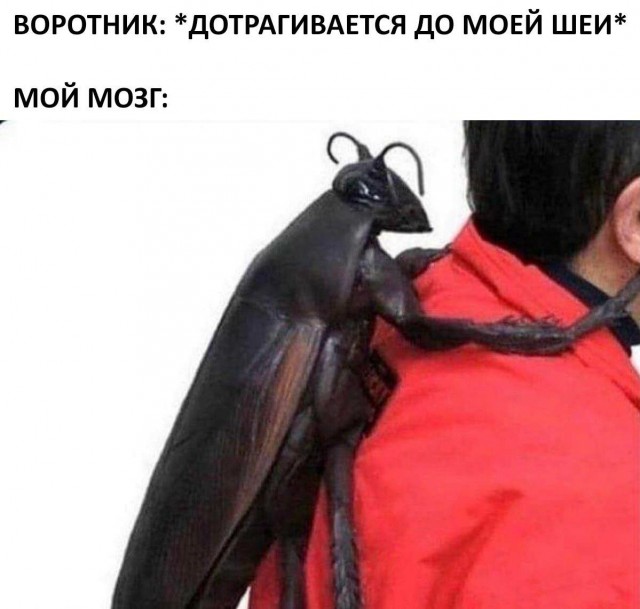 Воскресная деградация