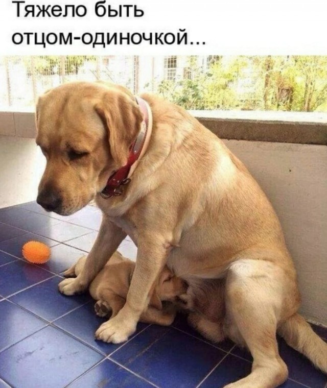 Пятница. И немного слегка пошлых картинок с надписями и без 16+ (29.01)