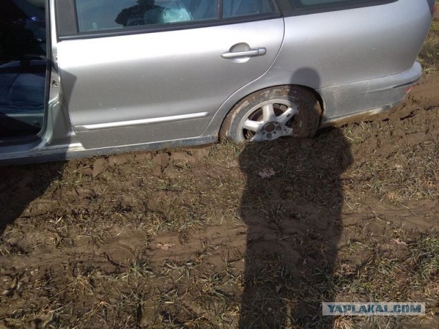 Жизнь домашнего приюта для котеек 334