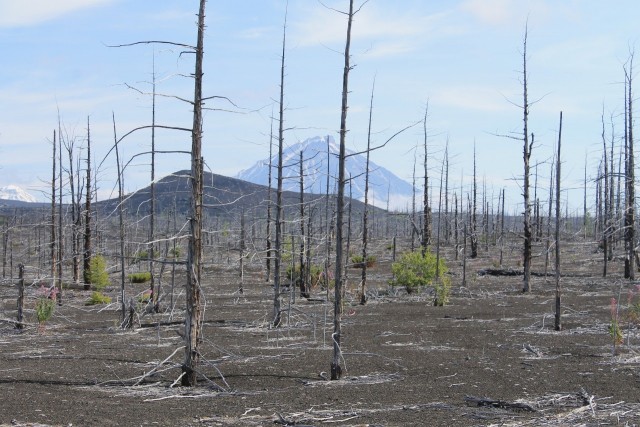 Камчатка, Толбачик