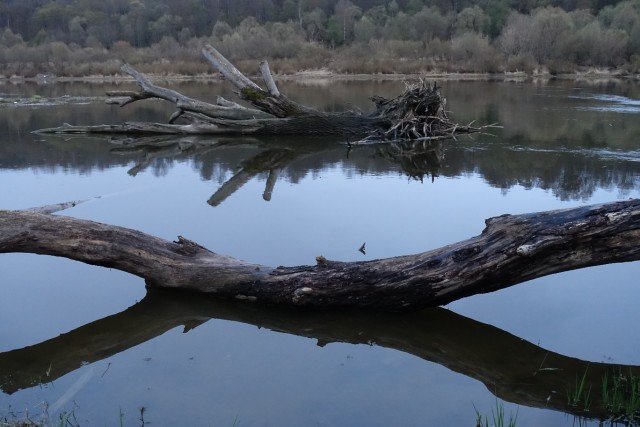 Природная красота