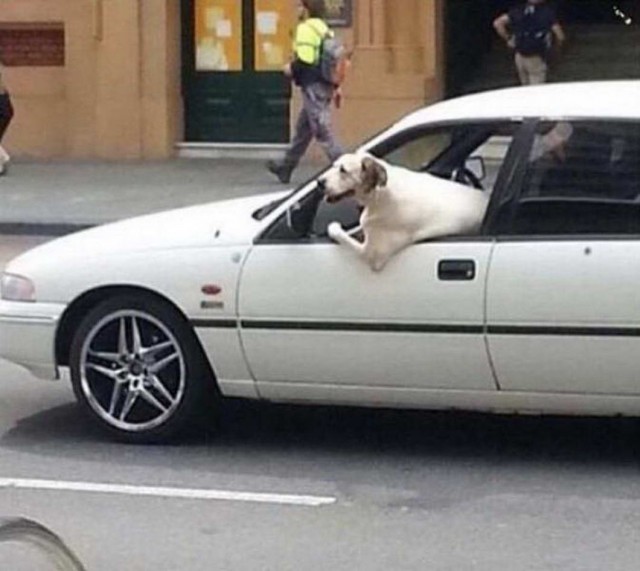 Калейдоскоп картинок