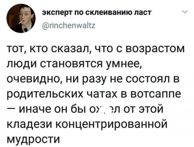 Немного о родительских чатах (в картинках)