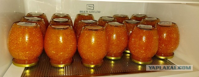 Кулинарная общалка