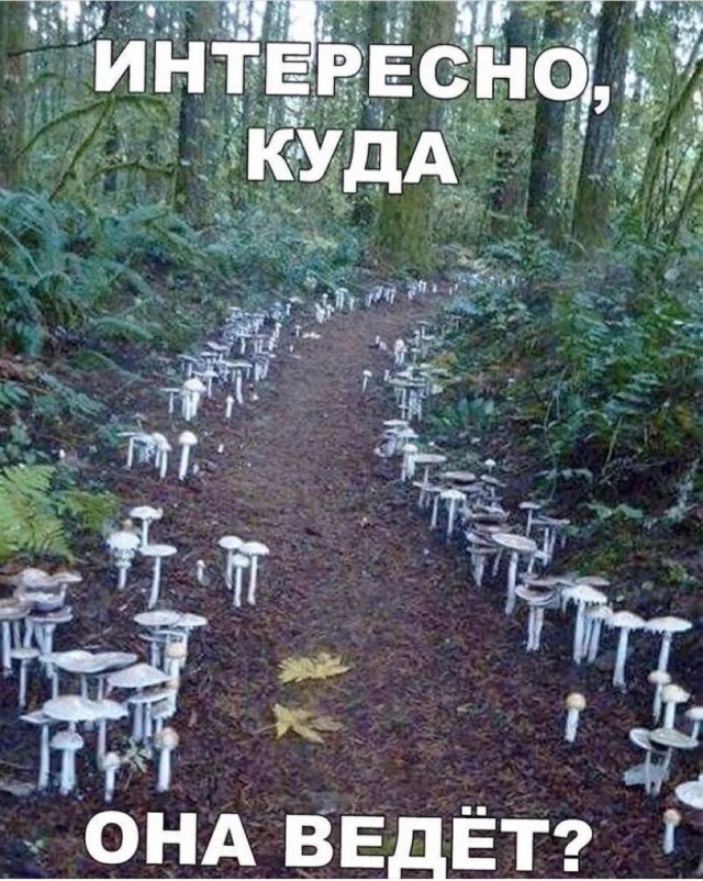 Так себе картинки 28.09.21