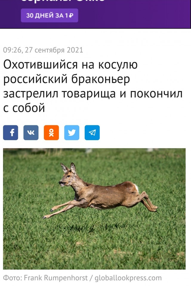 Хозяин тайги. Почему отдых Путина раздражает народ