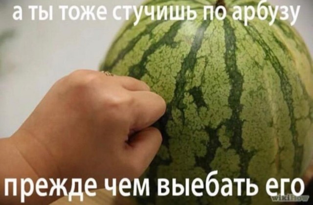 Картинки из рабочего чата 13.11.21
