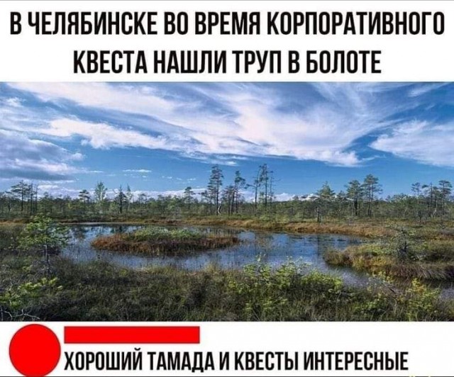 Всяческие картинки 15.12.2021