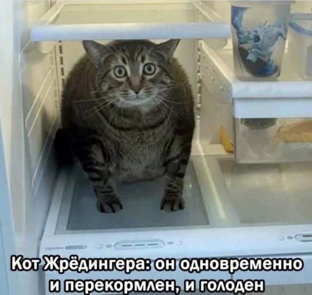 Псс..! Мемов надо?