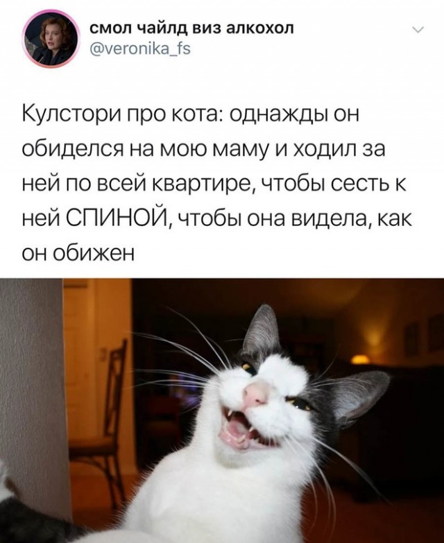 Картинки и мемы для настроения, выходные не за горами