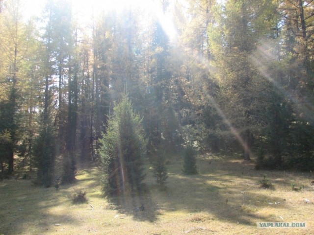 Горный Алтай в первый раз