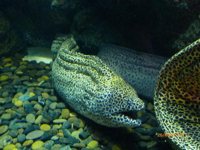 Путешествие в Таиланд.