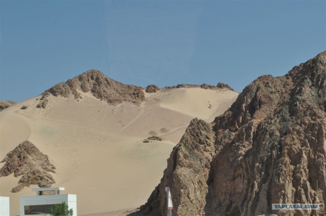 Как я ездил в Египет