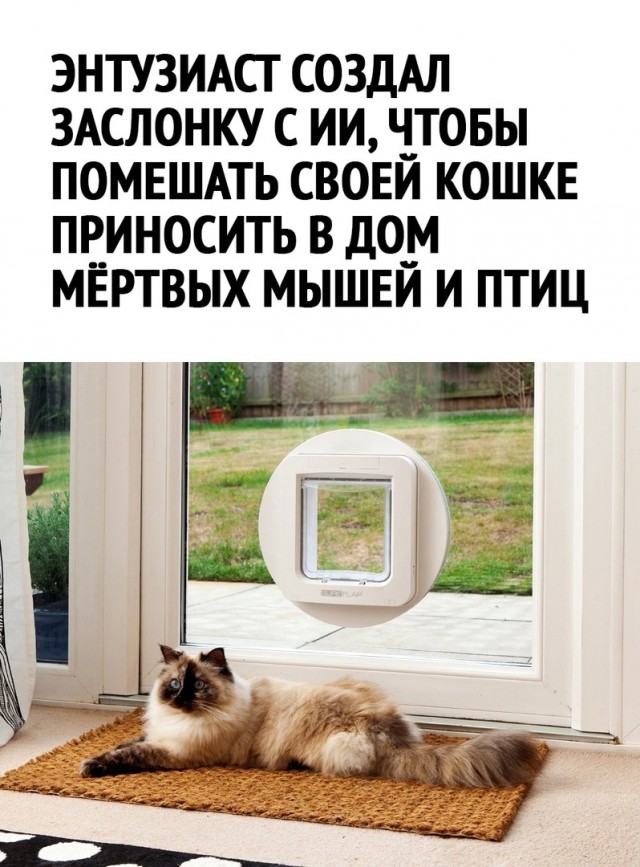 Так себе картинки 07.11.22