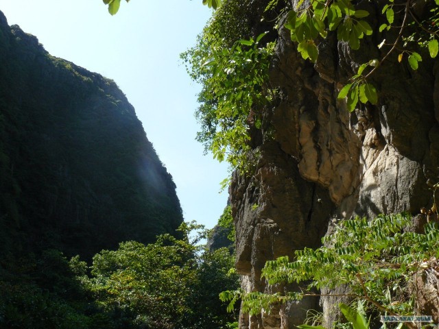 Немного Тая