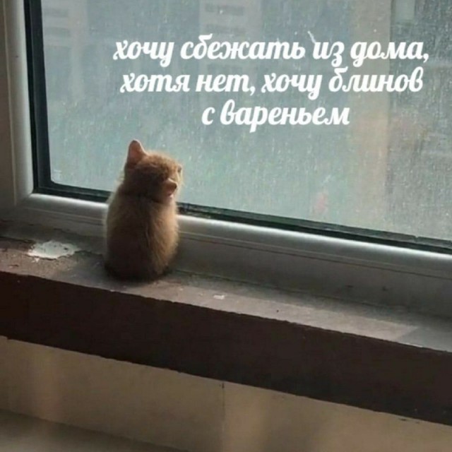 Немного картинок для настроения