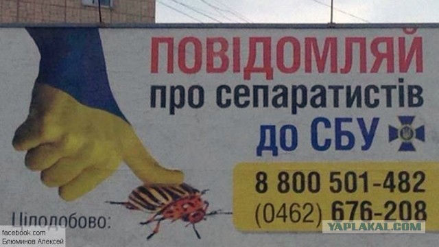 Москвич написал донос на попутчика за разговоры про СВО в поезде