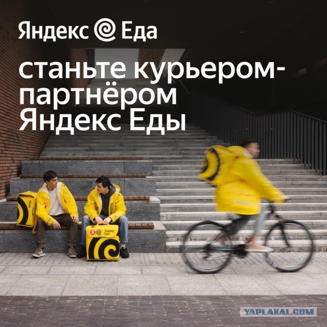 Предложения трудоустройства