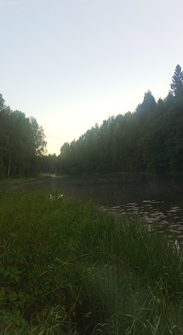 Рыбалка онлайн