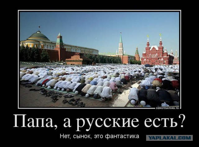 Не провоцируй  животных