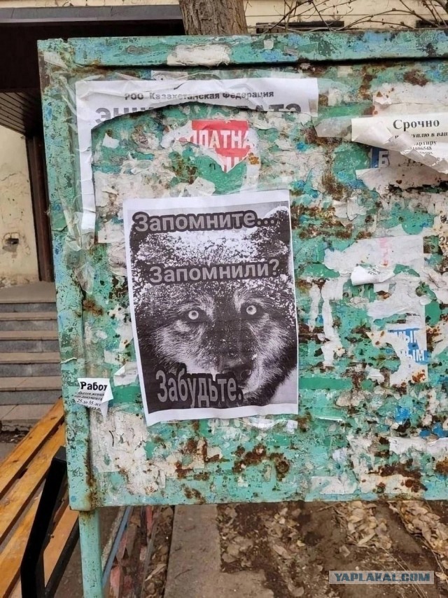 Забавные картинки ...