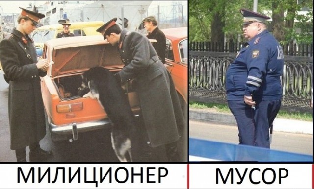 «Раздули из ничего». Полковник полиции высказался об избиении 11-летней тагильчанки и вызвал шквал возмущений