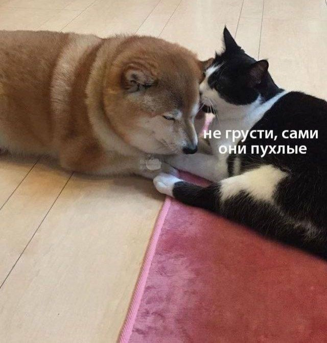 Просто картинки