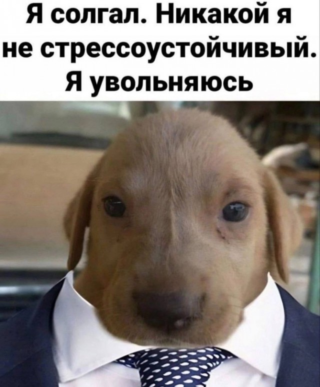 Околоайтишные мемчики