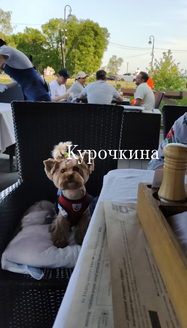 Мощный наезд на городских женщин от женщины из деревни