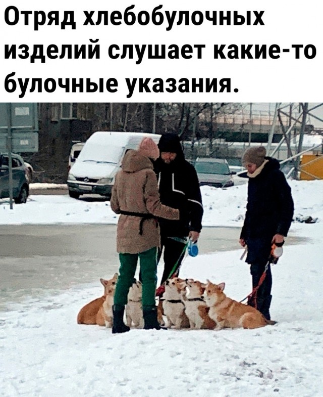 Так себе картинки 21.02.24