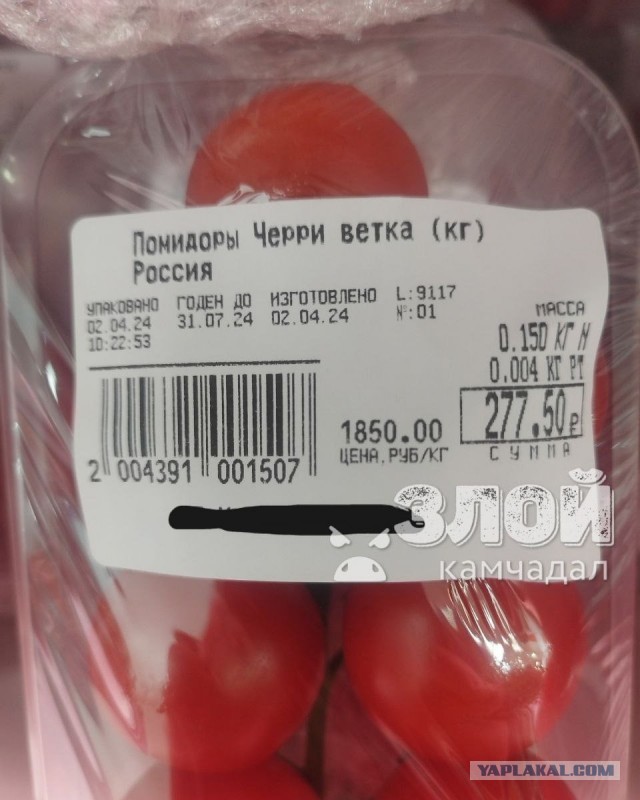 12 марта в Пахачах оттепель с влажным восточным ветром