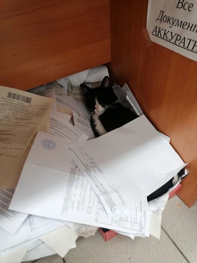*Кладите