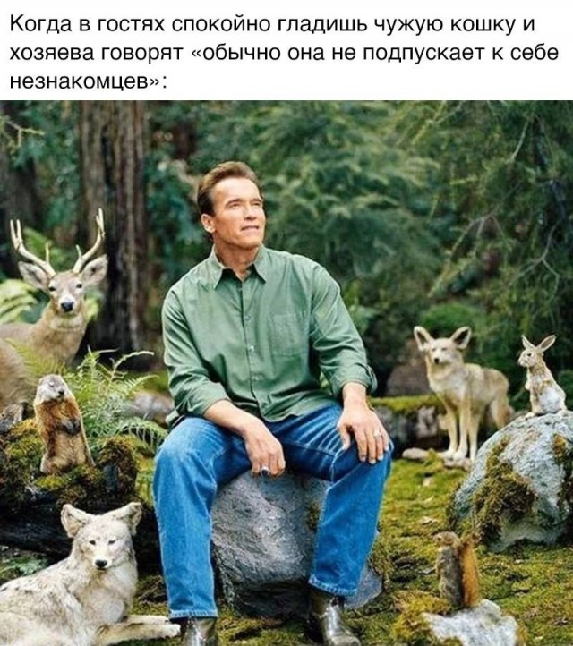 Так себе картинки 05.08.24