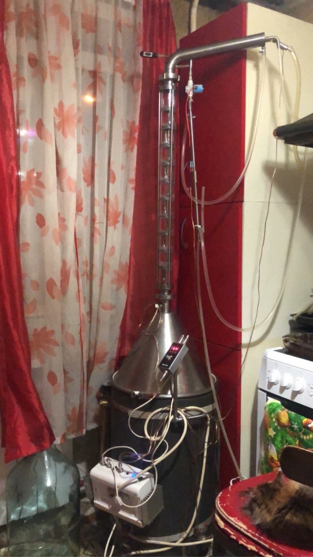 Самогон или заводской алкоголь?