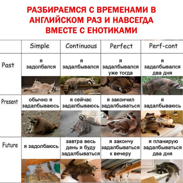 Завалялось тут случайно немного забавных картинок