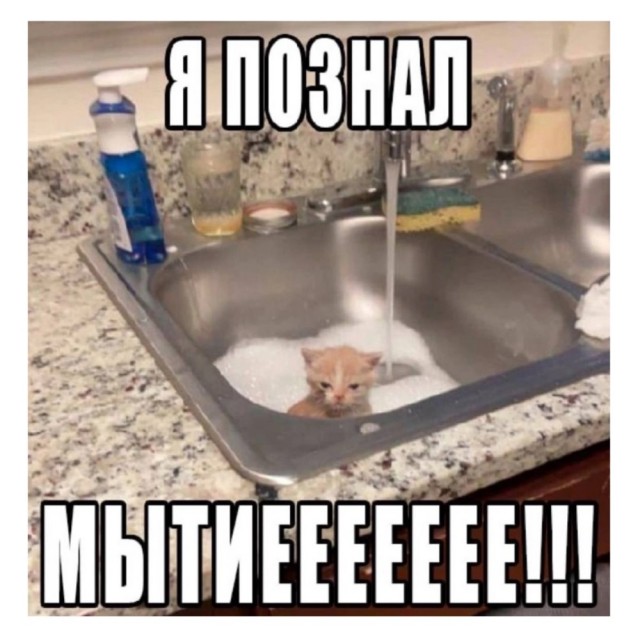Веселые картинки к понедельнику (18.11)
