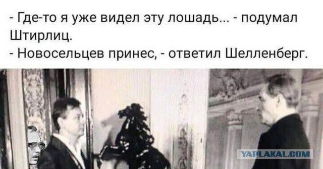 Сравниваем квартиры Калугиной и Самохвалова