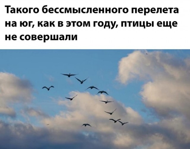 Завалялось тут случайно немного забавных картинок