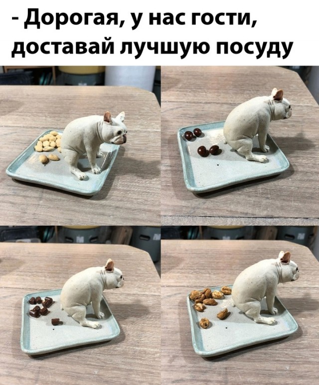 Весёлый полтишок 14.05.25.