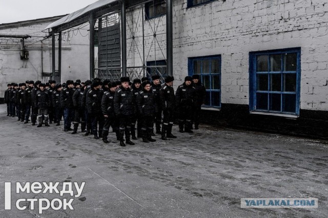Башкортостан: Полицейский избил уфимца за то, что тот обидел его тестя в Жуково.