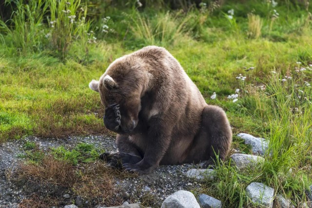 Заряд позитива: взгляните на 25 самых забавных снимков