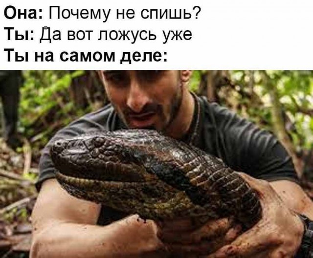 Веселые картинки в пятницу (15.08)