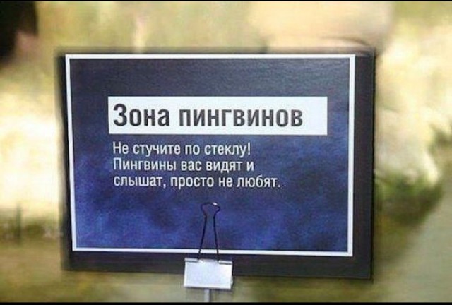 Что-то давненько не было истеричек с ПВЗ
